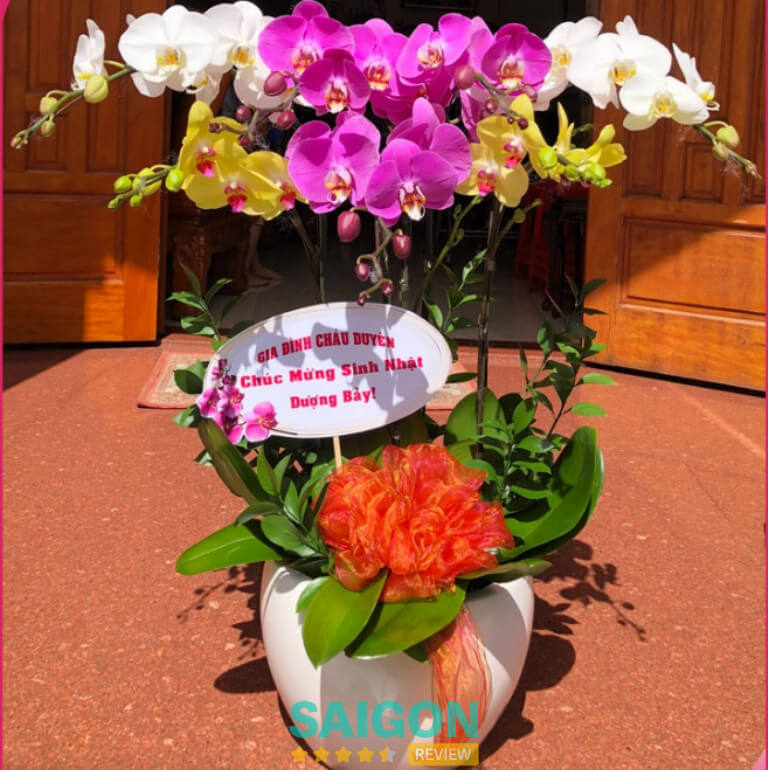Hoa Lan Hồ Điệp Beautiful Orchids, TPHCM.