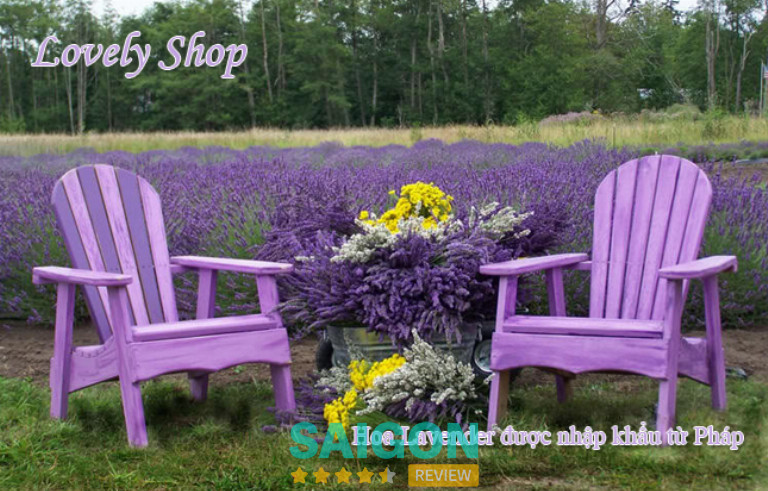 Lavender Lovely Shop