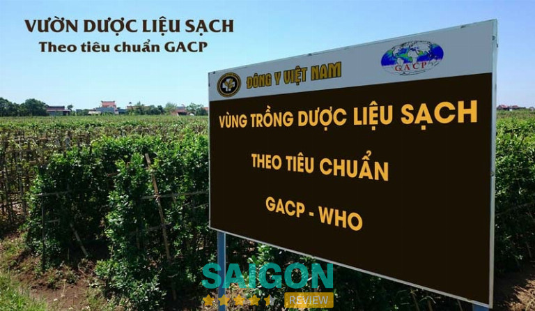 Trung tâm thừa kế và ứng dụng đông y Việt Nam – Vinacare