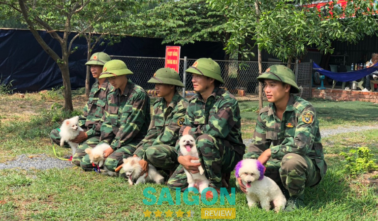 Trung tâm huấn luyện chó Sài Gòn DTC tại TPHCM