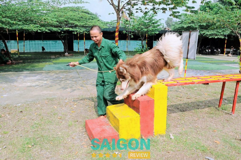 Trường huấn luyện chó Thành Tài tại TPHCM
