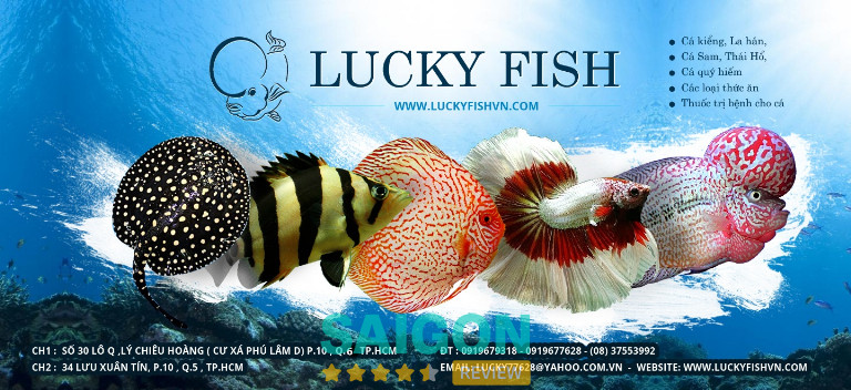 Cá Cảnh Lucky Fish TPHCM