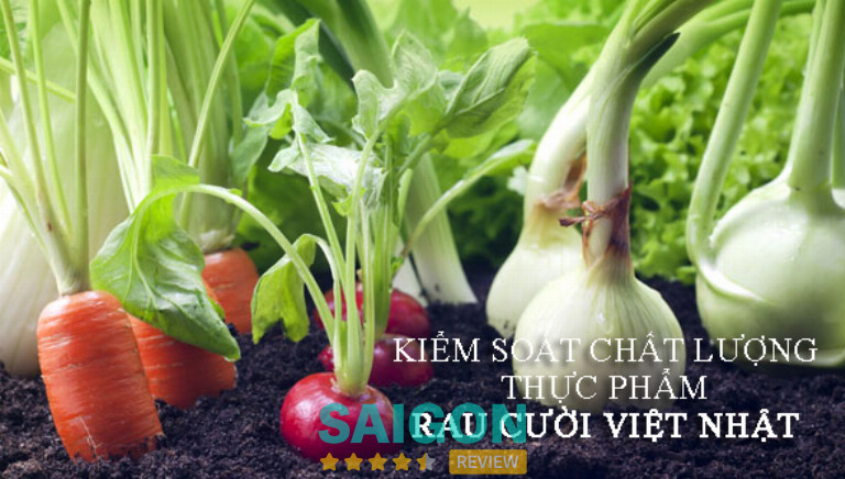 Rau Cười Việt Nhật TPHCM