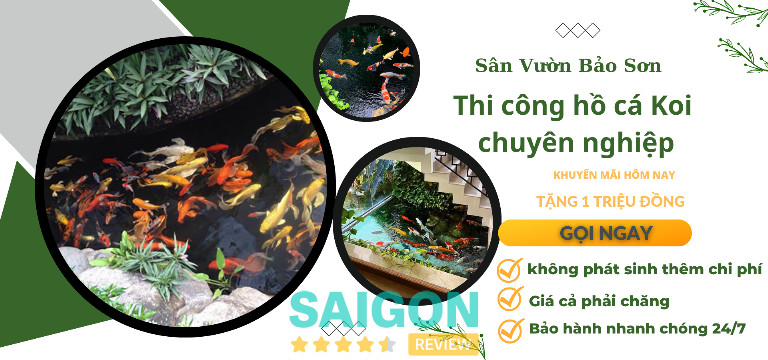 Sân Vườn Bảo Sơnthi công hồ cá Koi 
