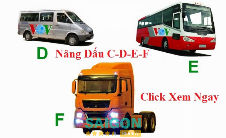 Lái Xe Đông Dương nâng dấu giấy phép lái xe ở TPHCM