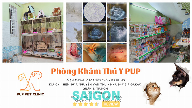 Phòng Khám Thú Y PUP Quận 1 TPHCM