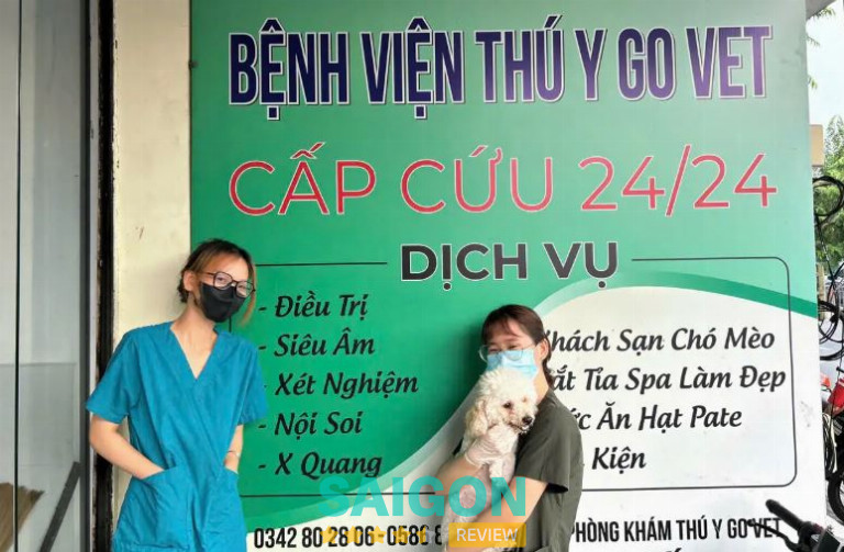Phòng khám thú y Q Vet tại TPHCM
