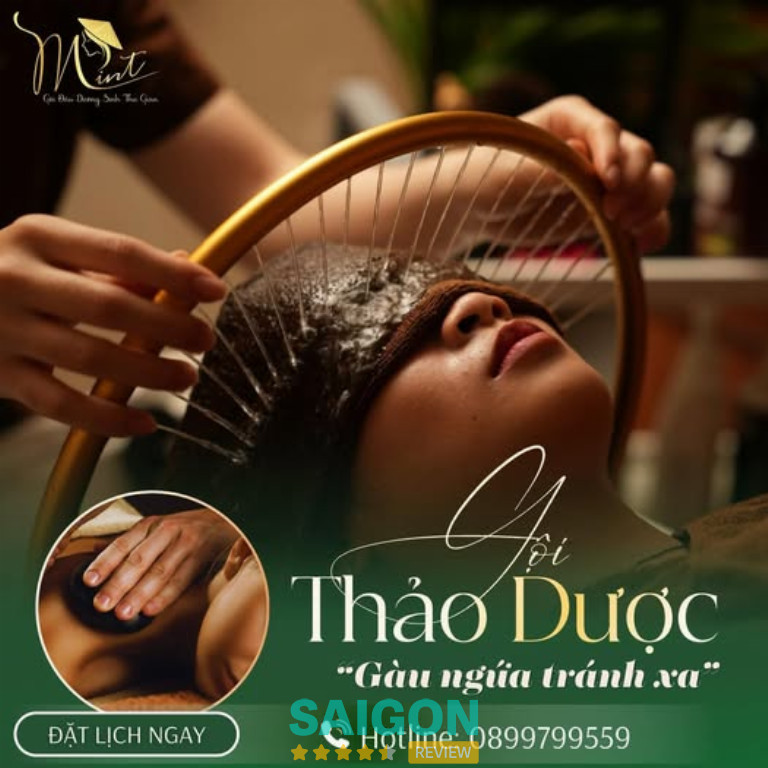 Mint Premium & Wellness Center gội đầu dưỡng sinh 