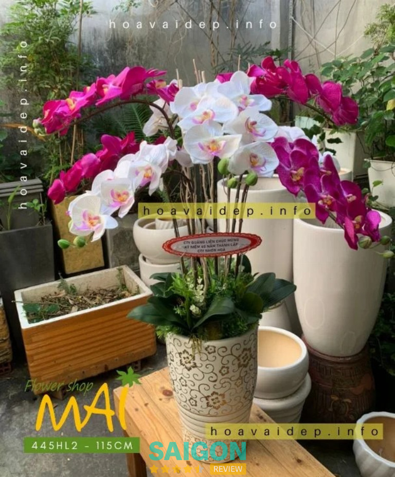 Hoa Vải Đẹp MAI – TPHCM