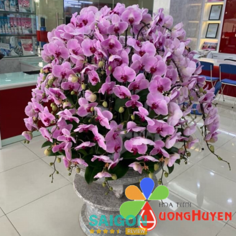 Hoa Tươi Hương Huyền – 197 Nguyễn Văn Trỗi