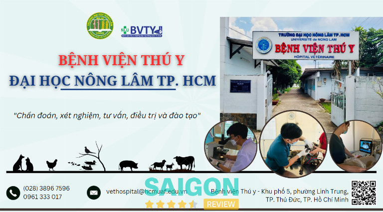 Bệnh Viện Thú Y – Thủ Đức