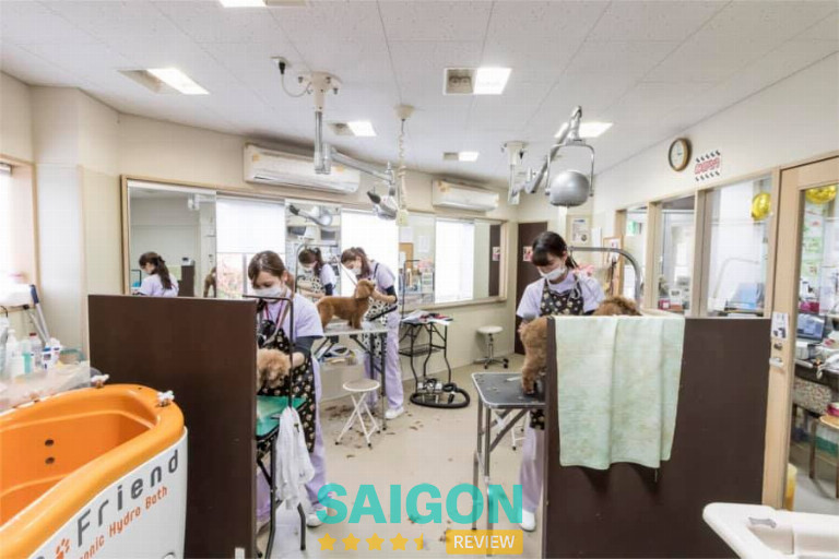 Sasaki Animal Hospital – Quận 7