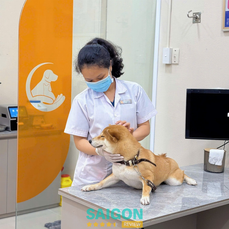 New Pet Hospital - Quận 1