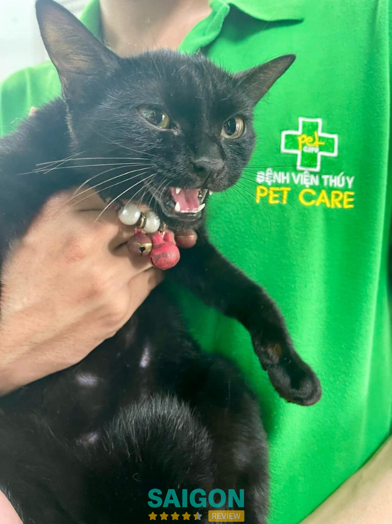 Bệnh viện Thú y PetCare – P. An Khánh 
