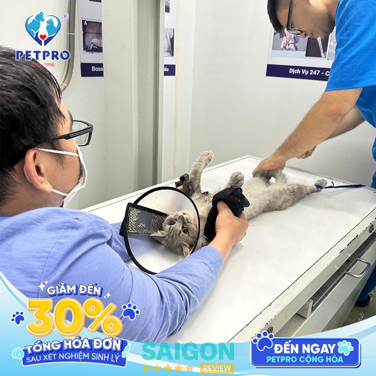 Bệnh Viện Thú Y PETPRO - Tân Phú 