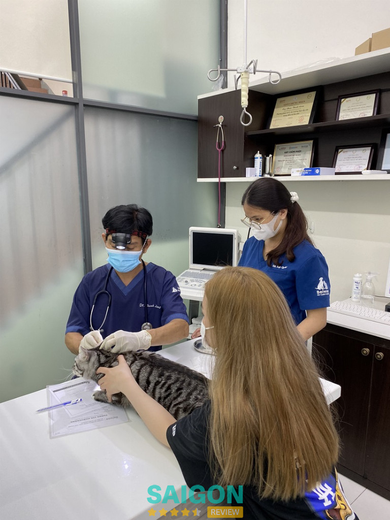 Bệnh viện thú y ở TPHCM