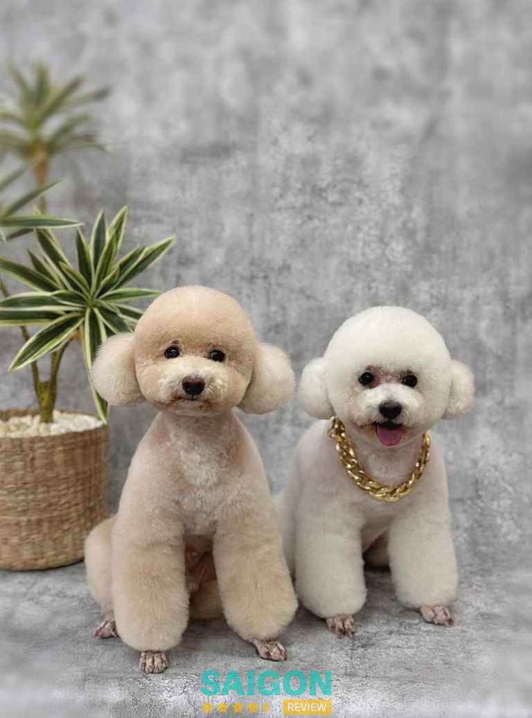 Dog Paradise – Quận 1