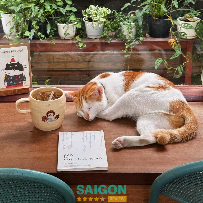 Haru Craft Studio - Bình Thạnh 