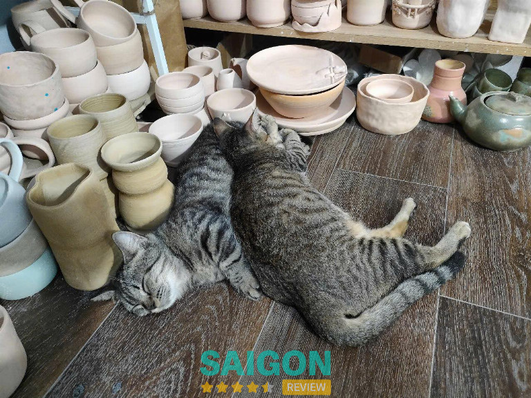 học làm gốm ở TPHCM 