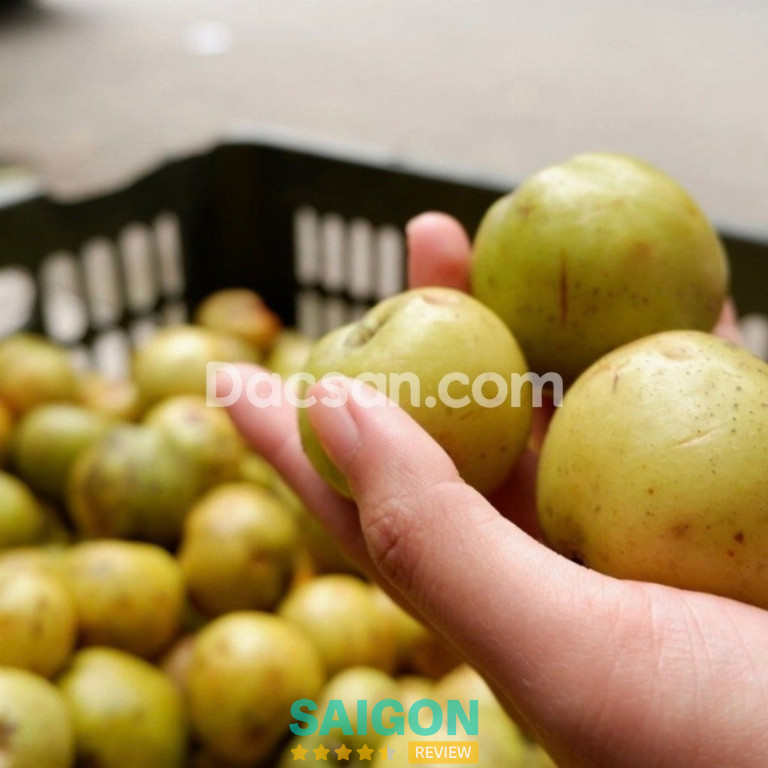 Dacsan.com - P. Tây Thạnh