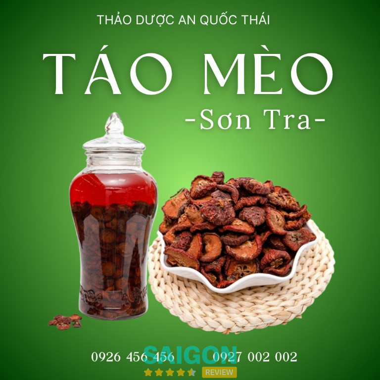 Thảo dược An Quốc Thái – Tân Bình