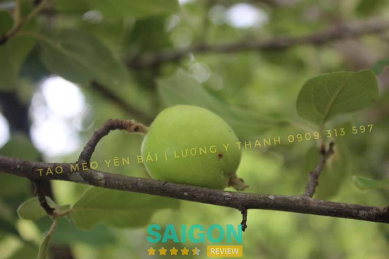 Khai Tâm Group - Bình Thạnh