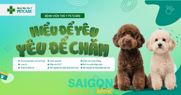 Bệnh Viện Thú Y PetCare - 25 Nguyễn Thái Học 