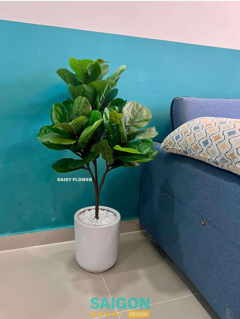 Daisy Shop - 163/99 Hoàng Văn Thụ