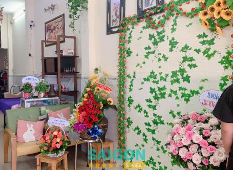 Bài viết review Z.O.A EyeLash: 76/7 Hẻm 133, Tân Thới Nhất, Quận 12