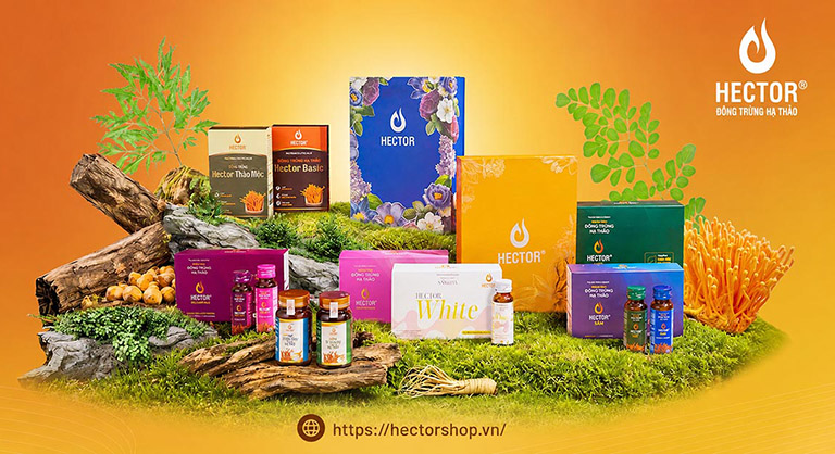 Đông trùng hạ thảo hector