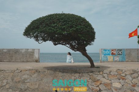 Concept Mùa Hạ - Quận 12