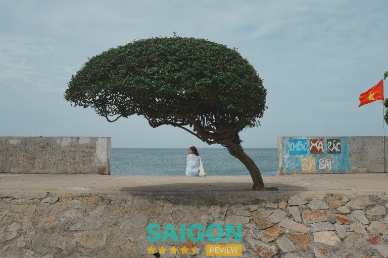 Concept Mùa Hạ - Quận 12