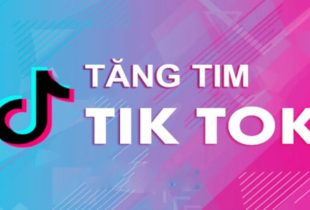 Buff Tim TikTok Giải Pháp Nâng Tương Tác Nhanh Chóng Cho Video Của Bạn