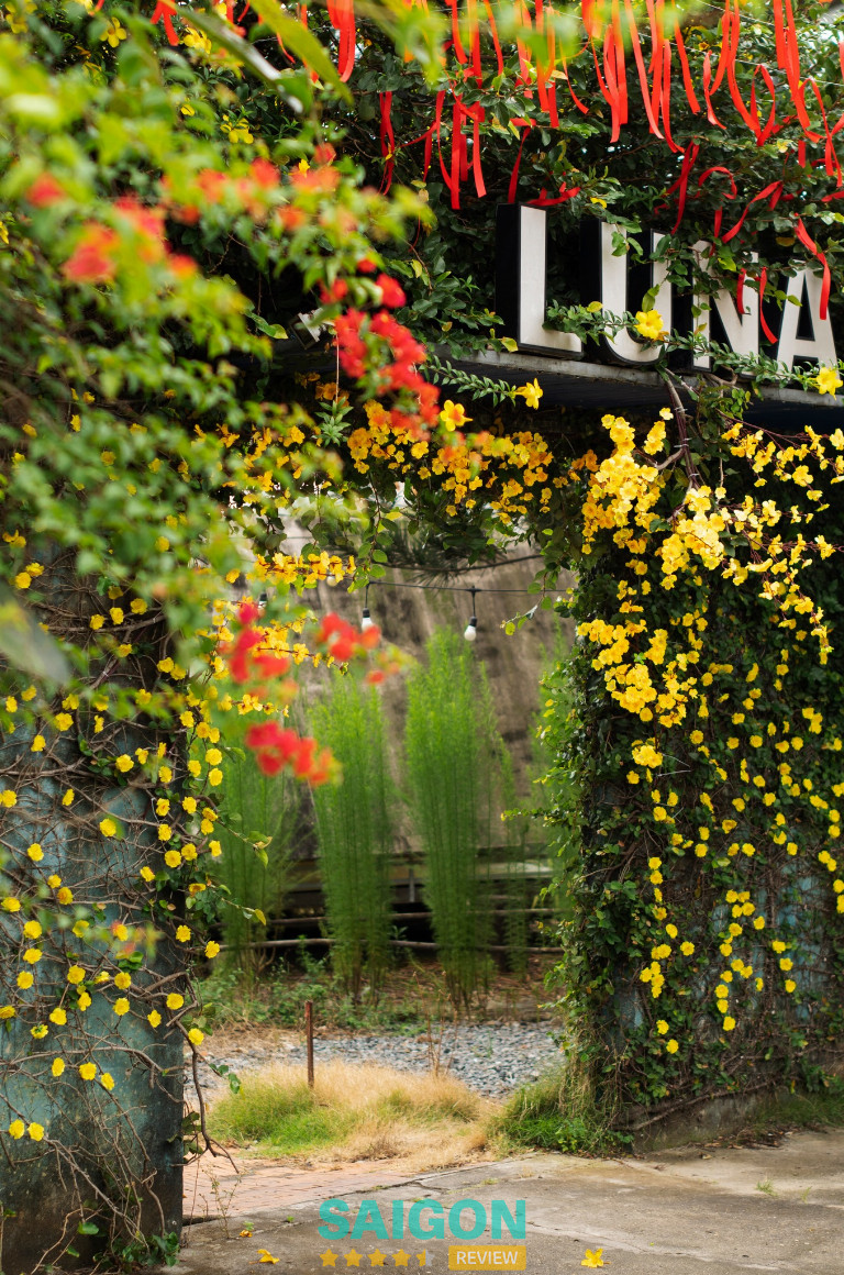 Luna Cafe - 44 Đường 361