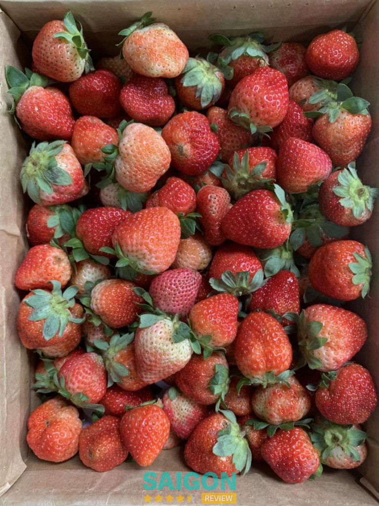 Sỉ&Lẻ Dâu Tây Đà Lạt tại TPHCM - Tân Phú