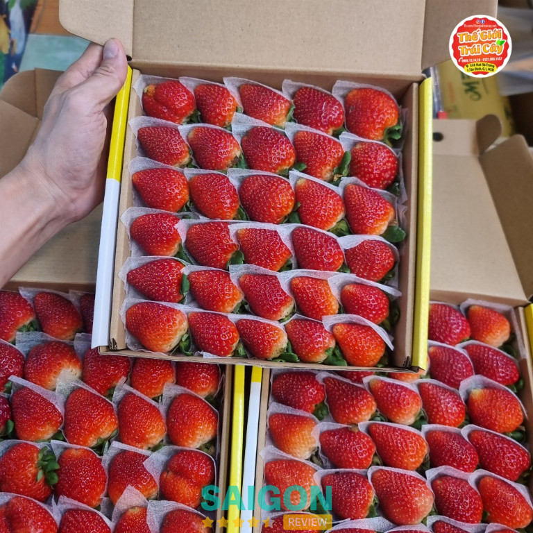 cửa hàng dâu tây Đà Lạt ở TPHCM