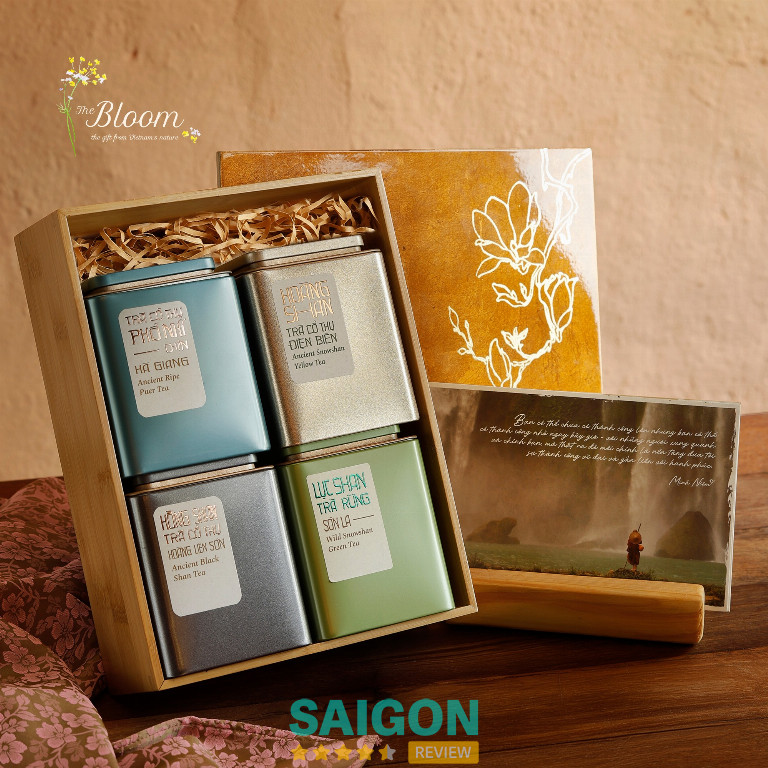 The Bloom - P. An Khánh