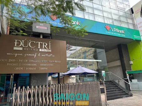 Đức Trí Piano Boutique - P. An Hội Tây