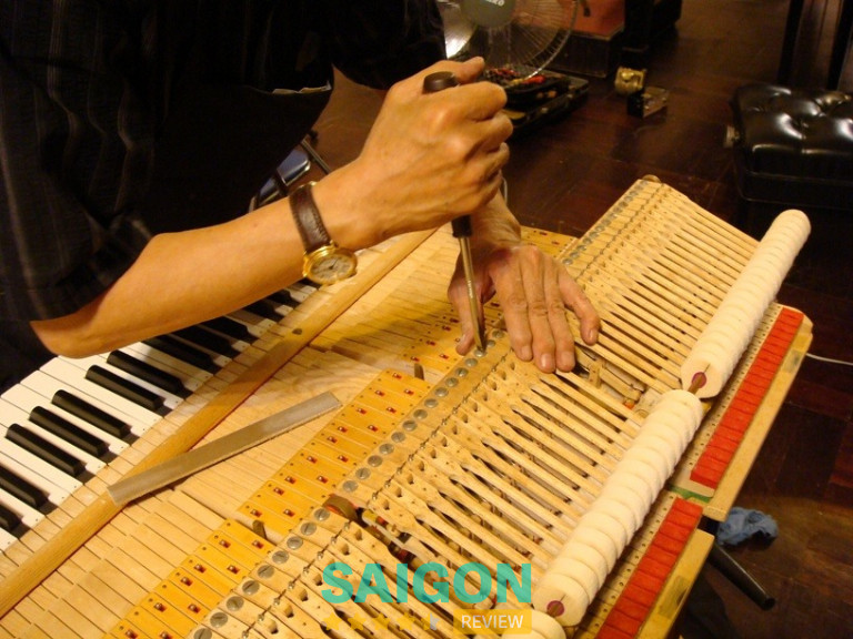Piano For You - Tân Bình