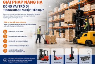 Giải Pháp Nâng Hạ Tiêu Chuẩn Nhật Cho Doanh Nghiệp Việt