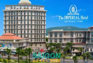 3 hotel Vũng Tàu cho tín đồ mê biển