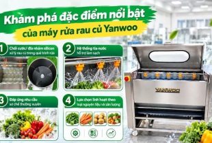 Máy Rửa Rau Củ Yanwoo – Cơ Sở Chế Biến Nên Đầu Tư